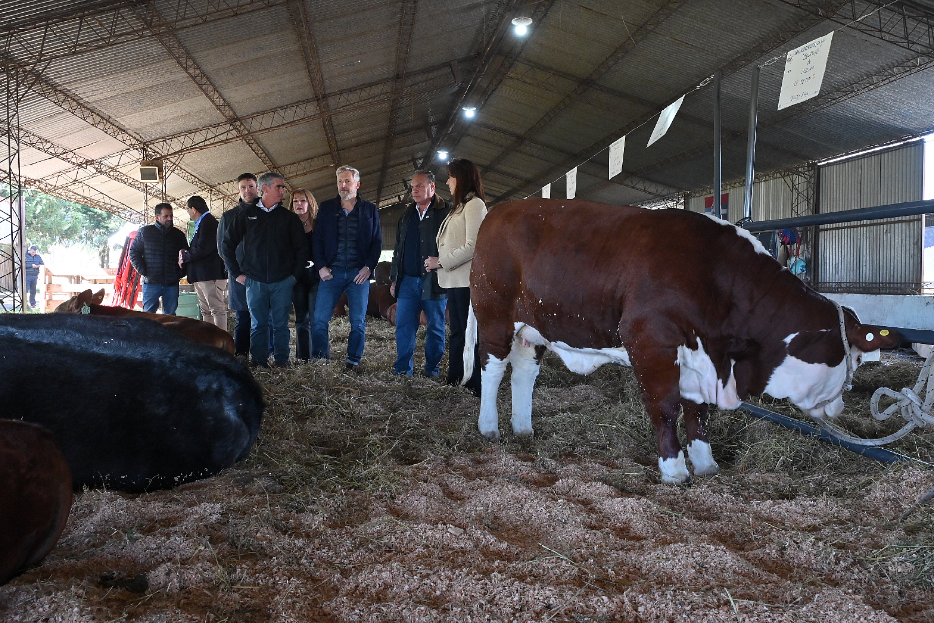 Entre Ríos: Frigerio anunció créditos para productores y mejoras viales en la 80° Exposición Rural de Feliciano
